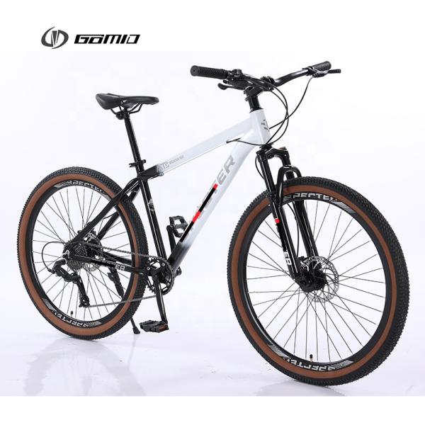 9 10 12 Speed Bicycle Custom Bicicleta OEM Bisiklet XC Mountainbike for Man Alloy Cycle MTB Bike 29 Inch Mountain Bike