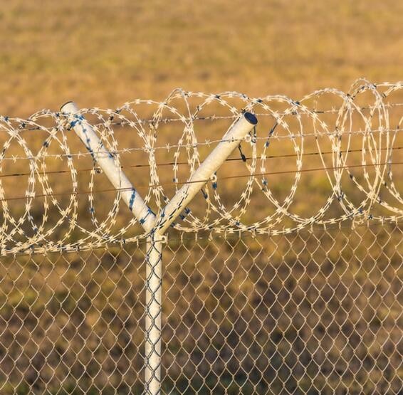 Galvanized Security Fencing Concertina Price Anti Climb Blade Barbed Wire Prison Razor Barbed Wire