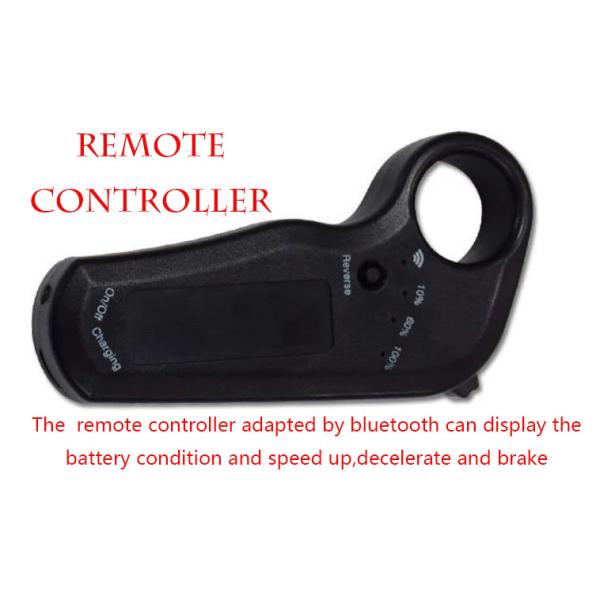 Plastic Portable Electric Skateboard , Colorful Fastest E Skateboard Fish Board