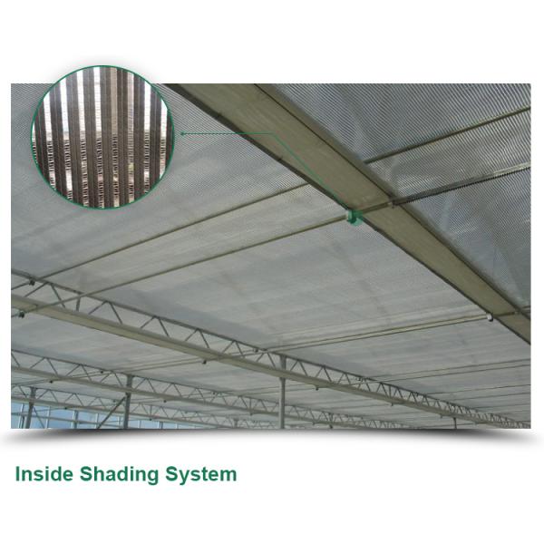 Glass for Outdoors Greenhouses Large Size and Hydroponic Nursery Sponge Advantage