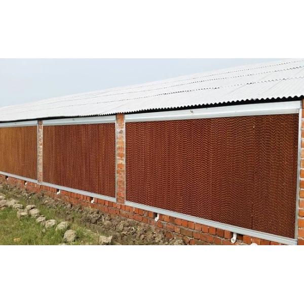 Broiler Poultry Prefab Houses Steel Structure Fully Automated Chicken Farming Equipment