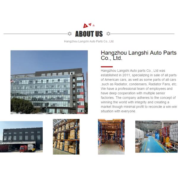 13321029 OE NO. Fuel Pump Assembly for Buick Excelle Chevrolet Cruze 13584225 13594891