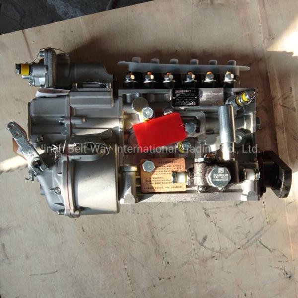 40 Kgs Vg1560080022 PS8500 Fuel Injection Pump for HOWO Weichai Wd615.69 336HP as Shown