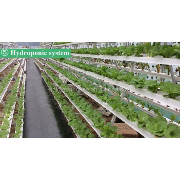 Large Greenhouse Rain Gutter with Lock Channel Stable Structure and Easily Assembled