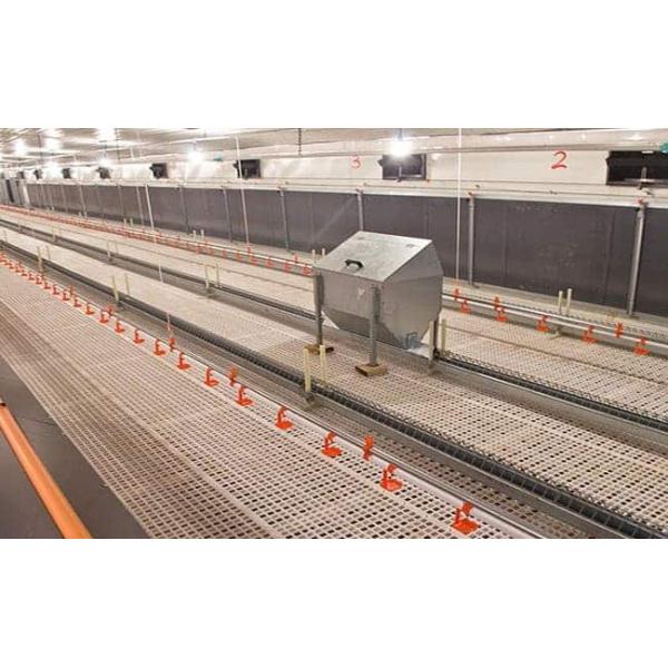 Broiler Poultry Prefab Houses Steel Structure Fully Automated Chicken Farming Equipment