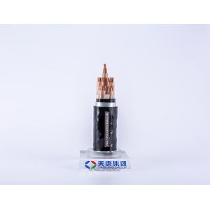 Quality Underwater Waterproof Electrical Cable WDZ-YJY23 0.6kv wholesale