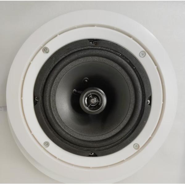 Hotel Schools 100/70V Ceiling Speakers 8 Inch 40/20/10/5w/8ohm Coaxial Loudspeaker