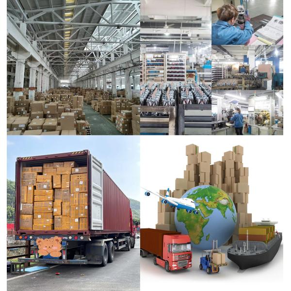 Perkins 1104D-44 Rail Diesel High Pressure Pump 9520A330g 2644C319