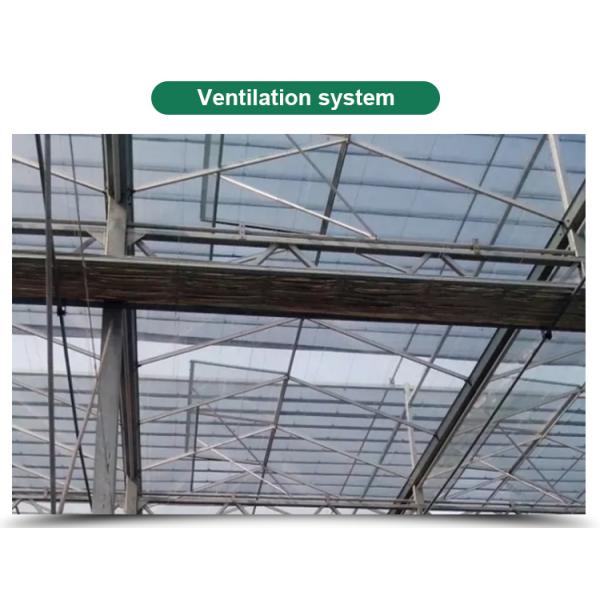 Glass for Outdoors Greenhouses Large Size and Hydroponic Nursery Sponge Advantage