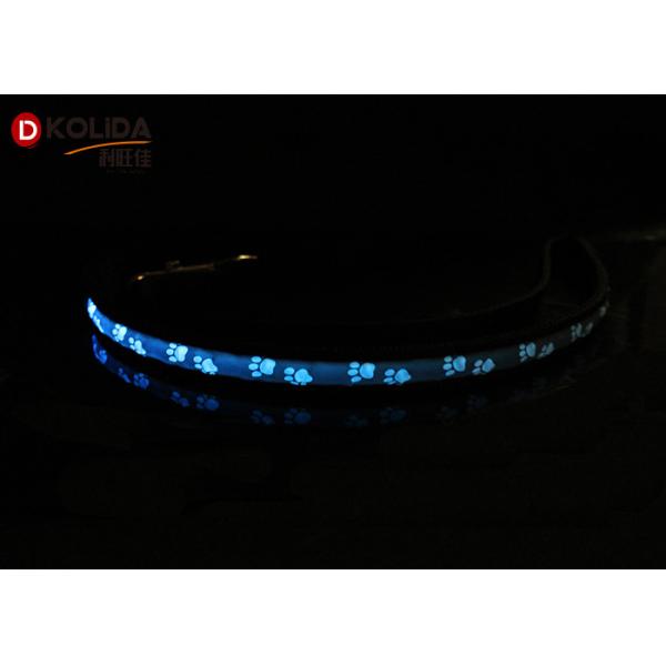 Pet Luminous Fast Slow Steady Flashing Glow In The Dark Dog Leash 2.5x120cm