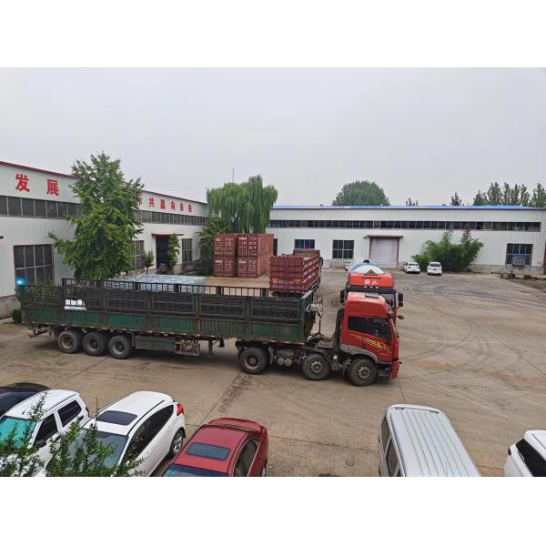 Easy Assembled Small Passive Solar Greenhouse For Small Scale Sustainable Farming