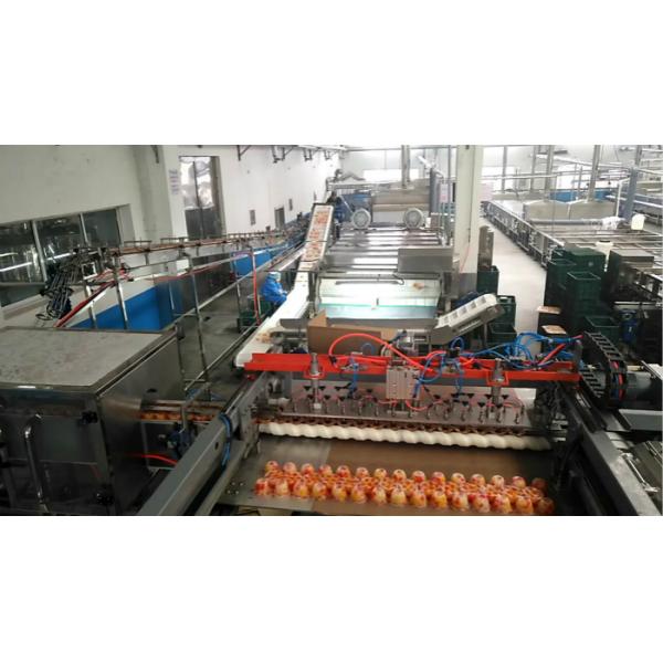 Plastic Cup Canned Food Production Line , Fruit And Vegetable Processing Equipment