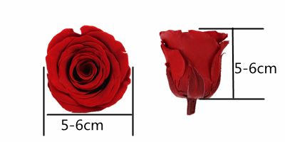 Beautiful Glass Dome Rose 65*44*65CM Perfect Wedding / Birthday Gift