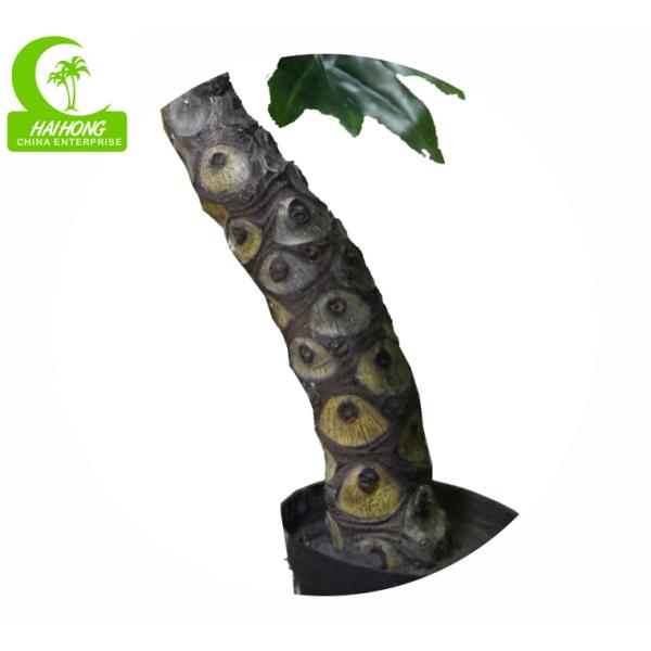 split philo plant x1