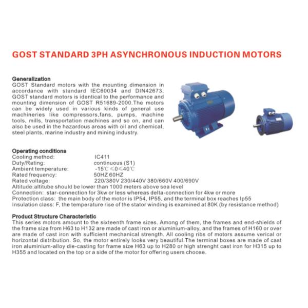 Gost ANP Three Phase Induction Motor 80A 80B 1.5KW 2.2KW Foot Flange Mounted Electric Motor