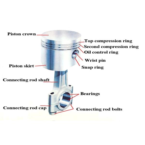 158.75mm K19 KT19 KTA19 KTAA19 QSK19 Diesel Engine Pistons 4309218 4913795