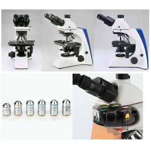 Quality Infinity Optical Upright Fluorescence Microscope LED / Halogen Transmitting Illumination wholesale