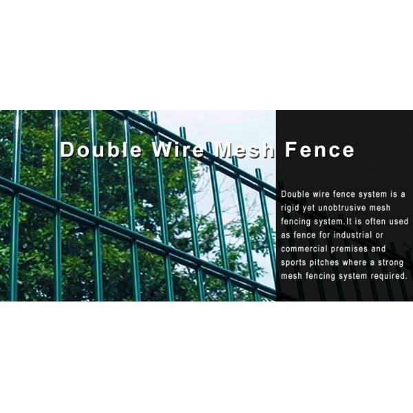 Powder Coated Green Color Double Rod Mat Fences For Garden 1.8*3m