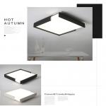 Trendy Black / White Color ceiling lights For indoor home ceiling decor (WH-MA