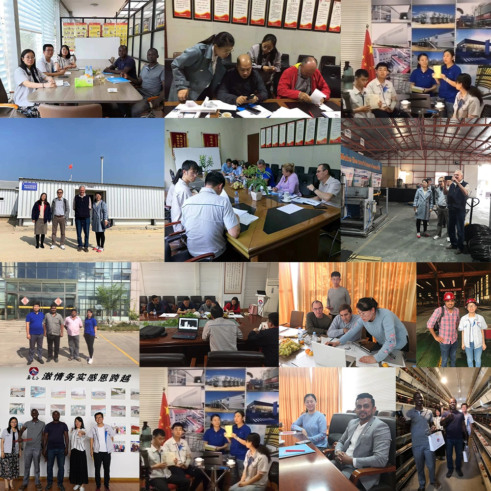 CE Livestock Farm House Steel Structure Chicken House And Equipment For Chicken