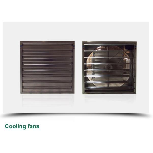 Glass for Outdoors Greenhouses Large Size and Hydroponic Nursery Sponge Advantage