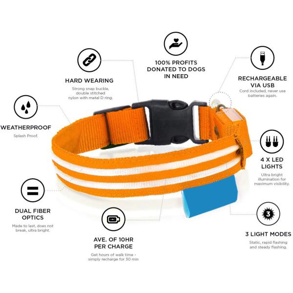 LED Illuminated Illuminated Dog Collar Various Colors Long Working Hours