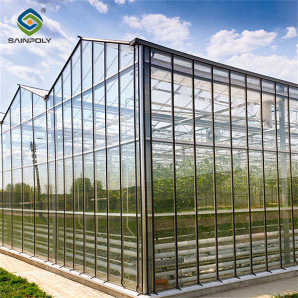 Weather Resistance Venlo Type Greenhouse With Hot Galvanized Steel Structure