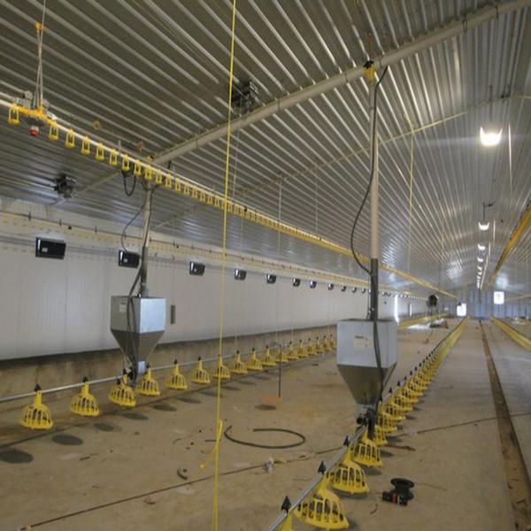 H Beam Steel Structure Poultry House with Bolts Connection