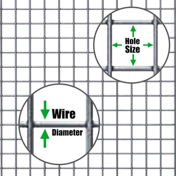 18 Gauge Welded Metal Wire Mesh Hot Dipped Galvanized 19mm X 19mm