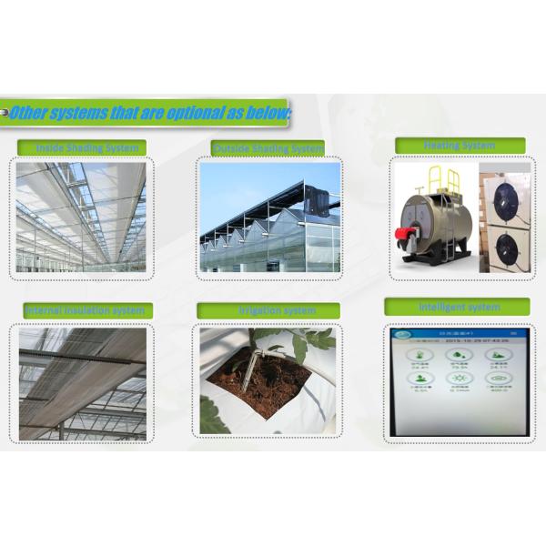 Anti Reflective Automatic Venlo Glass Greenhouse With Agricultural Farming Systems