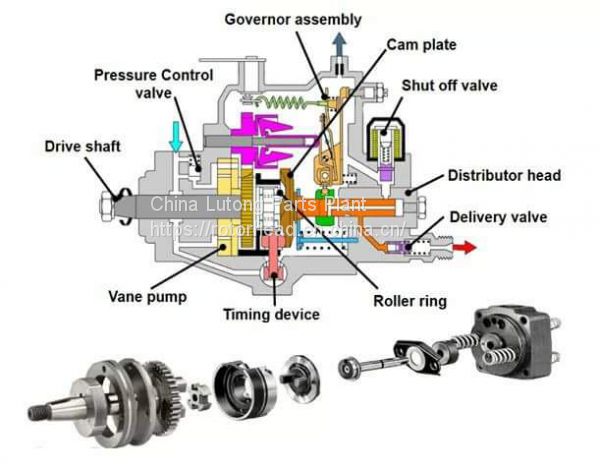 hydraulic head components & distributor rotor number 