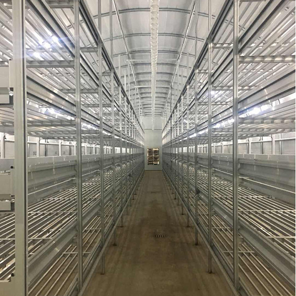 Durable Outdoor Mushroom Greenhouse Customized Length For Efficient Space Utilization