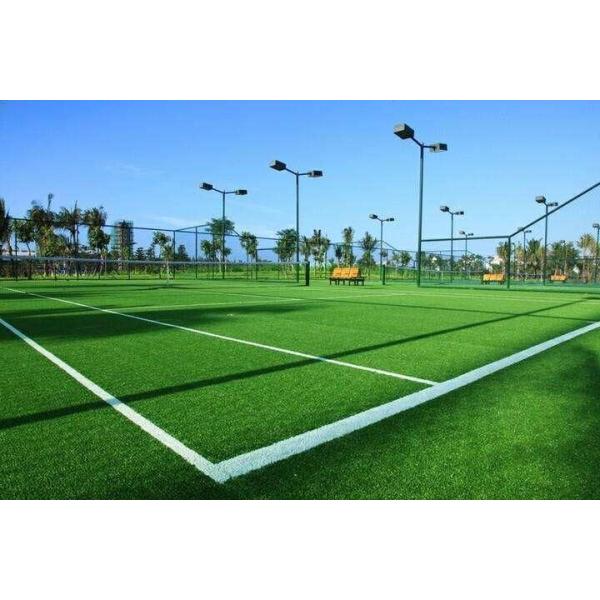 Synthetic Fake PP Artificial Turf Grass for Football Field (NYG001)