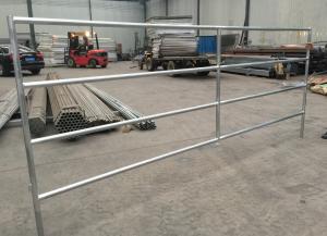 Environment Protection Cattle Corral Panels Galvanized Cattle Panels Various Sizes