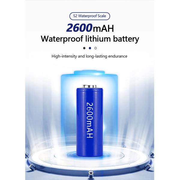 ABS Material 430 Stainless Steel Plate Table Scale for Advanced S2 Waterproof Electronic