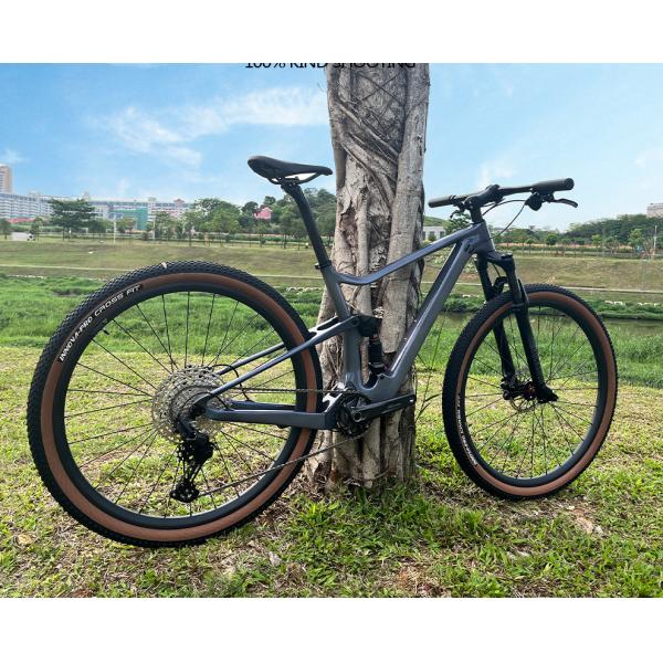 Customizable 11 Speed Full Carbon Fiber Bicycle With Rockshox Fork