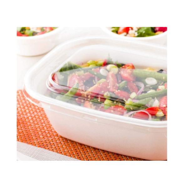 Oilproof Meal Bento 27g 48oz Biodegradable Salad Boxes