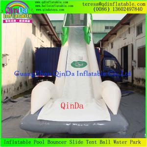 Quality Enjoy Giant Inflatable Water Slide For Adult, Inflatable Toy, Adults Inflatable Slide wholesale