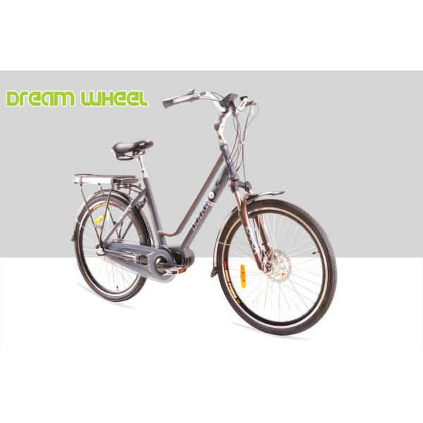 250W 36V Urban City Electric Bike 7.8Ah Samsung Cells
