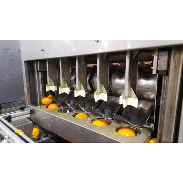 Leadworld Canned Fruit Production Line Canned Orange Processing Line