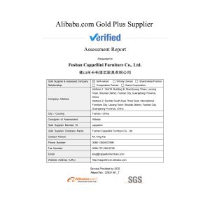Foshan Cappellini Furniture Co., Ltd. Certifications