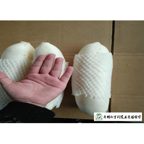 Fresh Long White Asian Radish 1kg / Per No Putrefaction For Supermarket