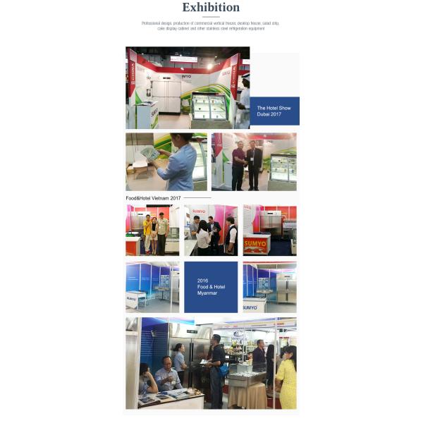 Commercial Kitchen Freezer Single Temperature Stainless Steel Double Door Refrigerator Air Cooled Refrigerator