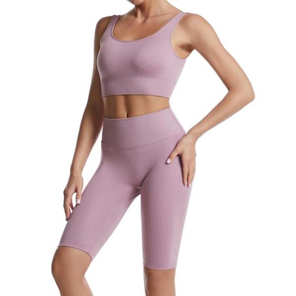 Custom Clothing Workout Sets For Women 2 Piece Seamless Ribbed Crop Tank High Waist Shorts