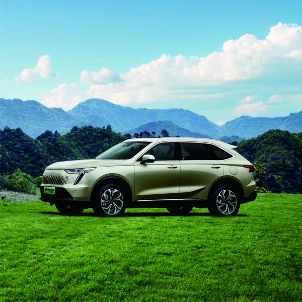 LED Daytime Light Haval Xiaolong MAX 23 Elite Edition 1.5L 105km Electric Car AWD Light Interior Leather Hybrid ACC R19