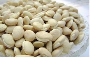 Quality White Hyacinth Bean China Dolicho Lablab L health food herbal medicine Bai bian dou wholesale
