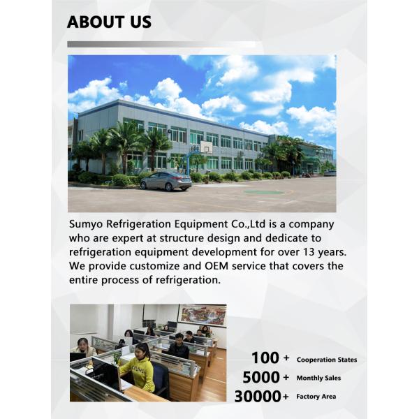 Commercial Stainless Steel  2 Doors Freezer GN Upright Refrigerator Hotel Restaurant Kitchen Chiller Freezer