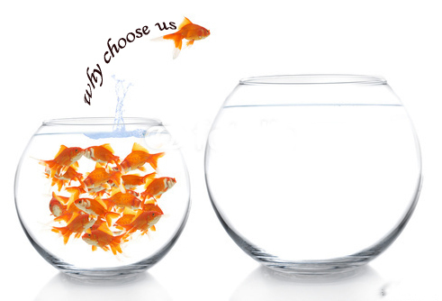 Hot Dipped Galvanized Steel Pipe With Threads Ends