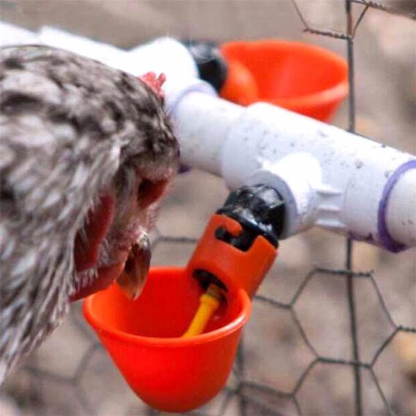 Nipple Chicken Bird Cup Drinkers Poultry House Accessories