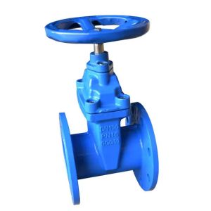 Quality DN150 Water Flange Gate Valve PN16 Cast Iron Standard with Stainless Steel 301/304/316 wholesale